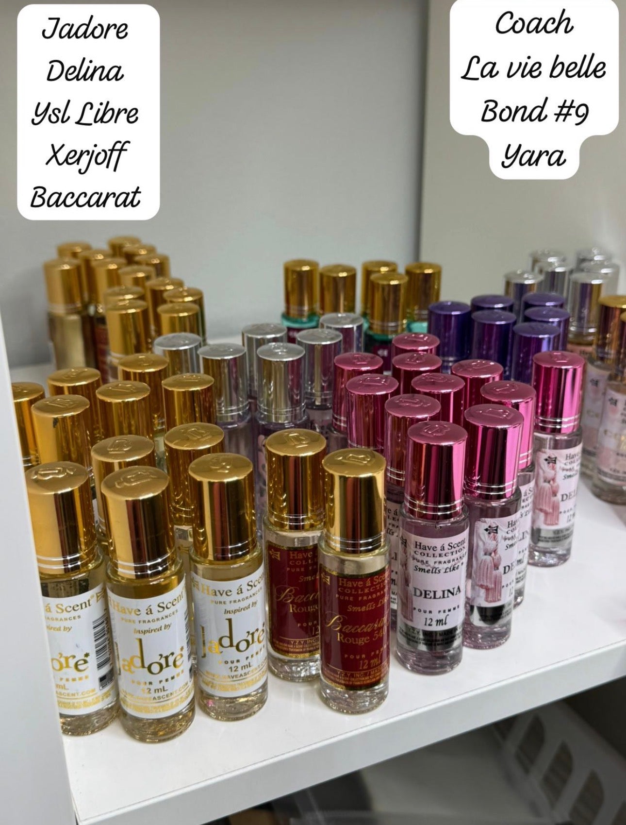 Have a scent collection Perfum Oils